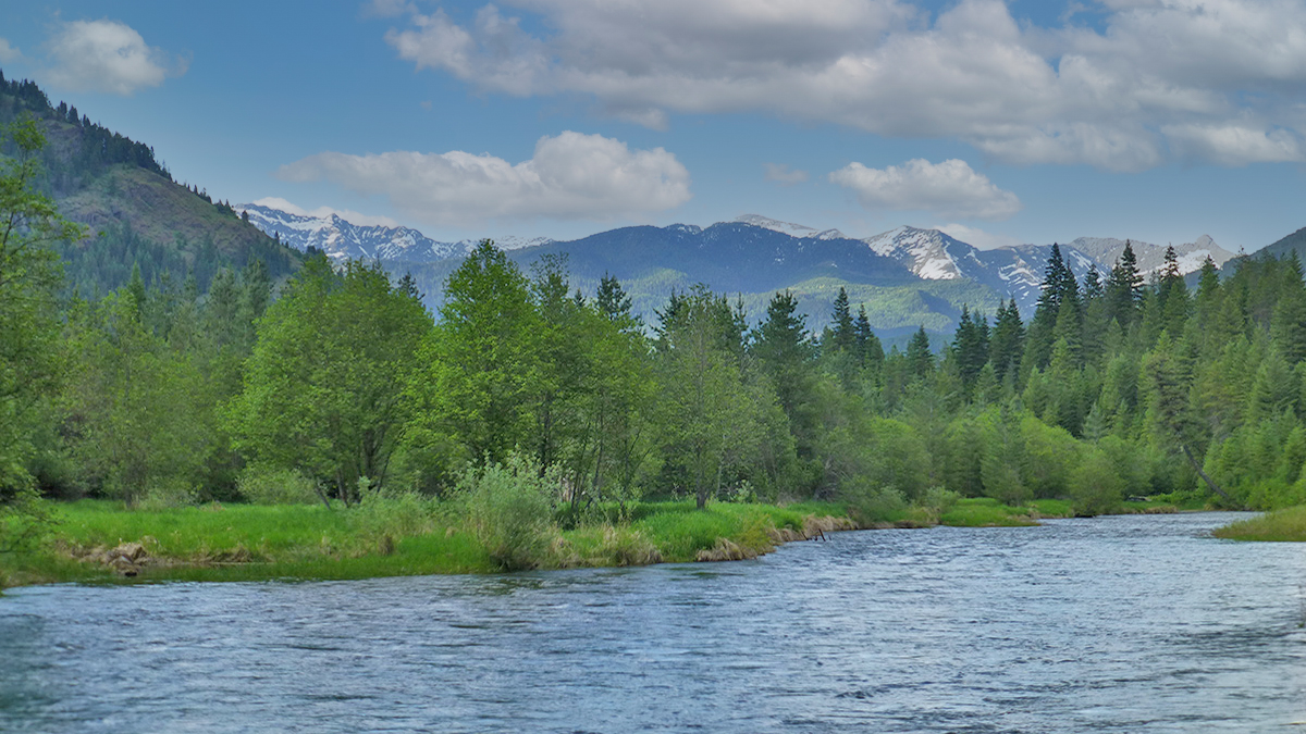 Bull River Cabinet Mountains Montana