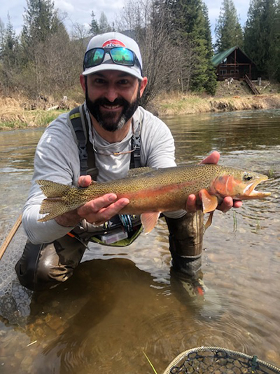 big bow